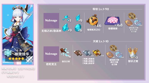 《原神》V2.8宵宫攻略：高效培养与装备搭配技巧解析