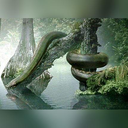 《无主灭绝》激战巨兽：9分钟硬核对决！