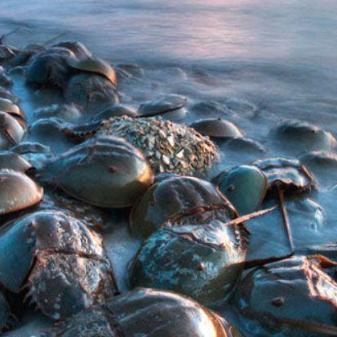 《命运方舟》时装合成攻略：打造个性装备，解锁神秘时装！