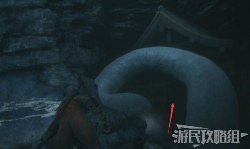 《只狼》白蛇神忍杀攻略：干柿子鲜柿子获取全解析