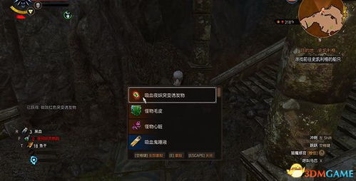 次世代巫师3熊派装备攻略，高效全收集技巧揭秘！