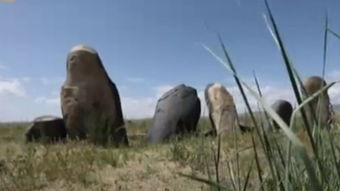 千壑沙地怪物详览，探秘原神生态奇观