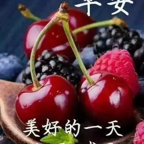 还在找靠谱的1.76客户端？2025老玩家亲测5个纯净版获取技巧，避开90%坑