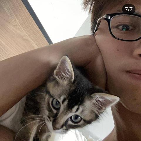 猫猫AK性能解析：狂徒版是否值得入手？