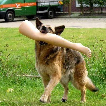 “大白老婆身高不符,被格式化囧图曝光！”