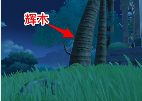 须弥木材高效采集攻略，解锁循环利用新奥秘