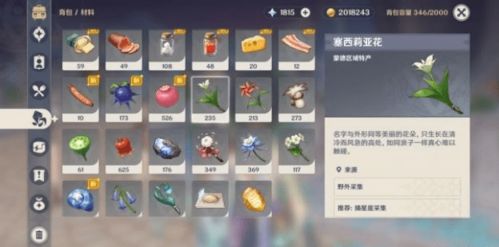 《原神》风逐花第三天全奖励攻略：风花节路线解析秘籍