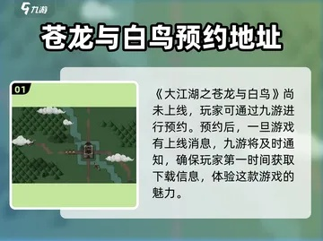 《大江湖攻略：江东事件全解析，苍龙白鸟选项揭秘》