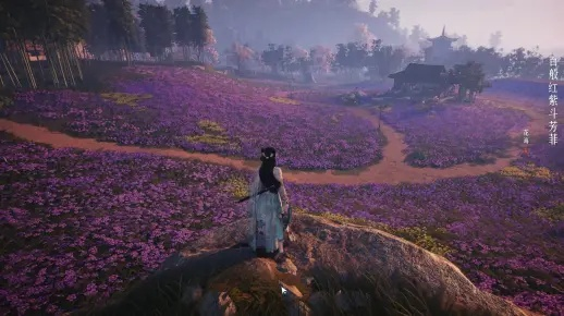 《燕云十六声》花间十二客首曝：诗意花卉，古风再现