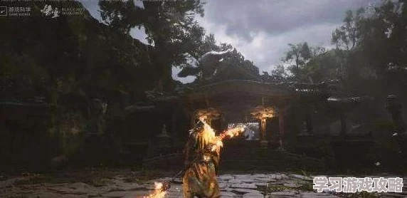 《悟空禁字挑战：黑神话独特玩法揭秘》