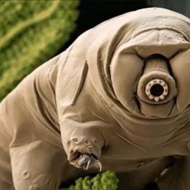 《辐射4》新手攻略：速成冷冻枪获取技巧