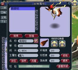 《死或生3》沙滩排球礼物好感度全览：快速提升角色好感度攻略