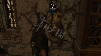 《暗影之王2》躺棺材体验攻略：挑战极限，你敢尝试吗？