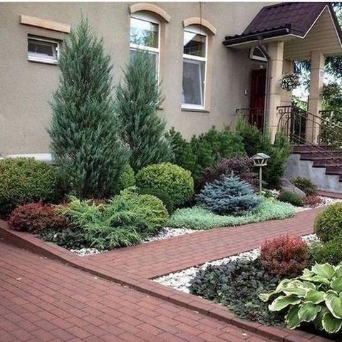 《植物大战僵尸2》试玩揭秘：花园战争新体验！