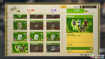 《审判之眼》战斗技巧揭秘：探索攻略与加点策略全解析