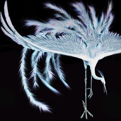 《青鸟降临！《放开那三国3》神兽传信新篇章》