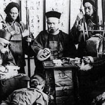 《饥荒》种植攻略：揭秘高效巨大作物搭配技巧