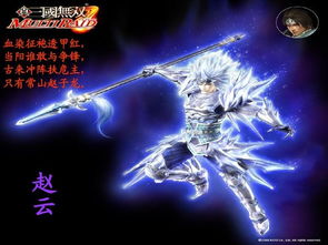 《无双大蛇2》孙家组合技攻略：实战解析，一招制胜！