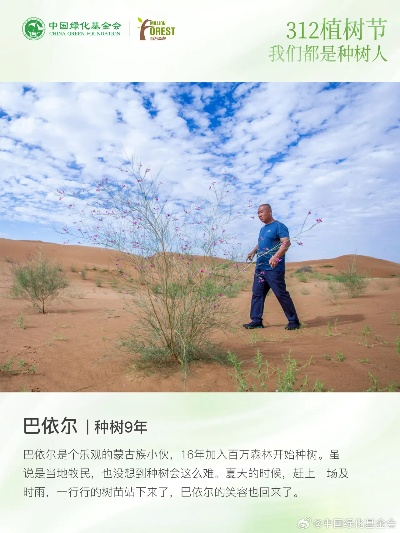 《拉格朗日四年坚守，荒漠植绿五万株，初心铸就绿色传奇》