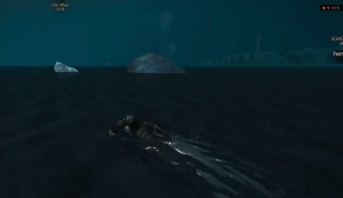 《巫师3》神级彩蛋揭秘：鲸鱼天降，震撼来袭！