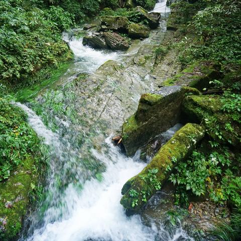 玛雅秘境：神秘神殿爆落魄神兵，独家揭秘！