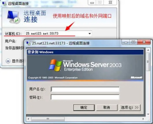 《星际裂变》内网穿透攻略：轻松实现服务器远程访问新技巧