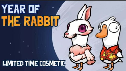 《鹅鸭杀手》时装表情获取攻略，解锁隐藏新装秘籍大公开