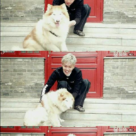 《P3RE爬塔攻略：新手快速通关技巧揭秘》