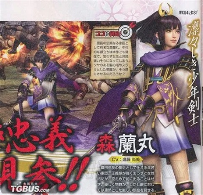 《战国无双4攻略全章节深度解析》