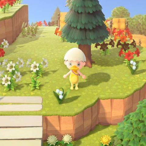 花卉杂交技巧揭秘：高效种植《动物森友会》新花法