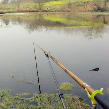 《心动小镇水蛙钓点揭秘：隐藏钓场大公开》