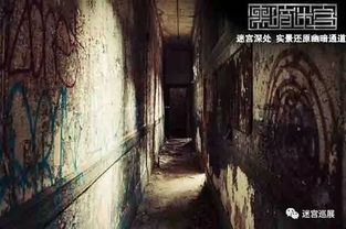 《暗黑3》客服惊现台风漩涡！韩国登陆惊魂时刻