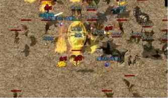 电花法师S11攻略：全新构筑解析，掌握极致输出之道