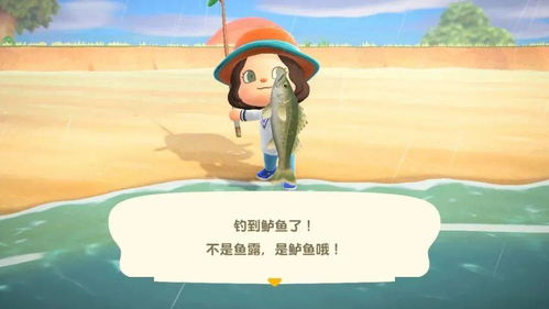 冬季鱼踪揭秘：《动物森友会》冬季鱼类出没时间全解析