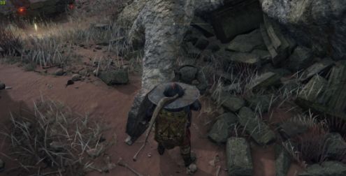 《艾尔登法环》古龙信徒笔记攻略：深度解析古龙信徒秘密宝藏