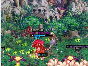 《庄园领主》独家揭秘：轻松获取服装制作秘籍