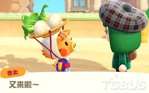 《动物森友会》3.0联动物品深度解析，塞尔达联动宝藏大揭秘