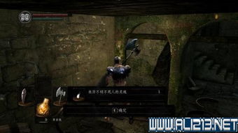 《黑暗之魂重制版》全区域商人珍稀商品大揭秘