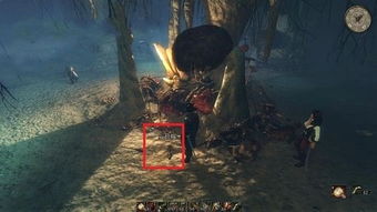 《崛起2：黑暗水域》植物探秘指南，解锁神秘生态宝藏