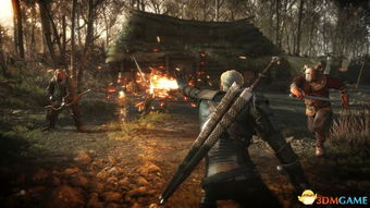 《巫师3》PC画质揭秘：XOne版与PC版对比，真相揭晓！