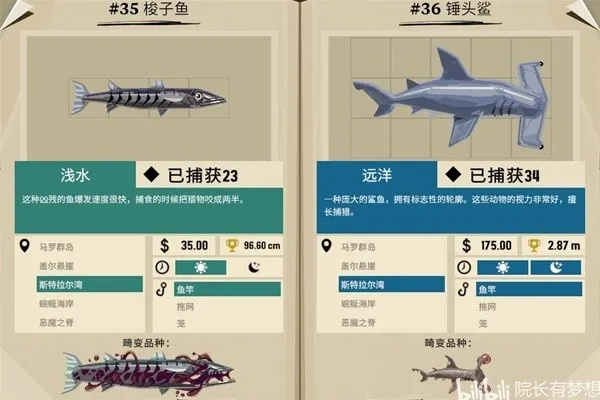 《渔帆暗涌》马罗群岛鱼类盘点：图鉴揭秘珍稀鱼种