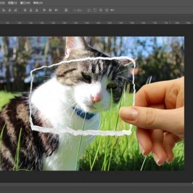 《怪物猎人XX》武器解析：全面武器面板效果深度揭秘