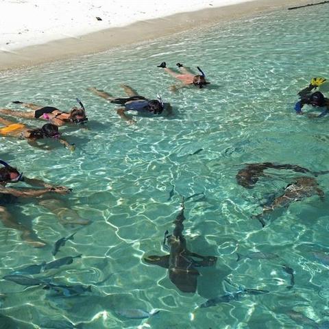 《我的世界》GearVR版即将上线，VR探险新体验！