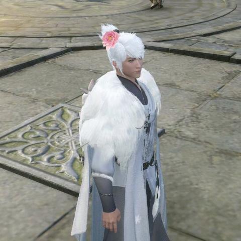 《逆水寒》铁衣副本通关攻略：必备属性与技能装备推荐