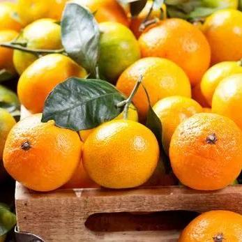 《三国志英雄致富攻略：轻松赚钱秘籍》