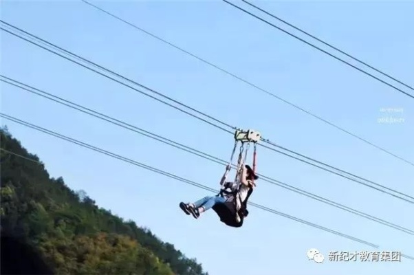 四号谷地电线滑索组网攻略，揭秘高效通关新策略