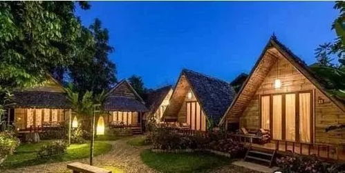 《心动小镇》独家揭秘：平房布局攻略，打造你的梦幻家园