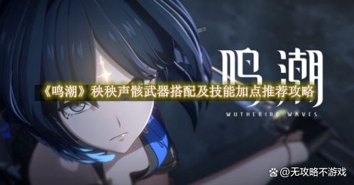 《鸣潮》流声骸散件搭配攻略：高效组合曝光
