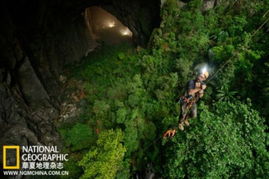 《原神》探秘：掣电树藏匿之地，解锁神秘新价值