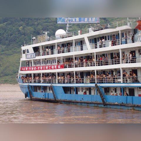 冰酷厨房新攻略：解锁鱼类收集秘籍，趣味捕捞大挑战